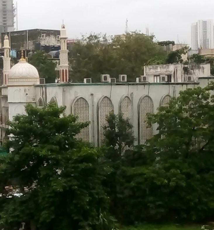 Taiba Mosque Image 3